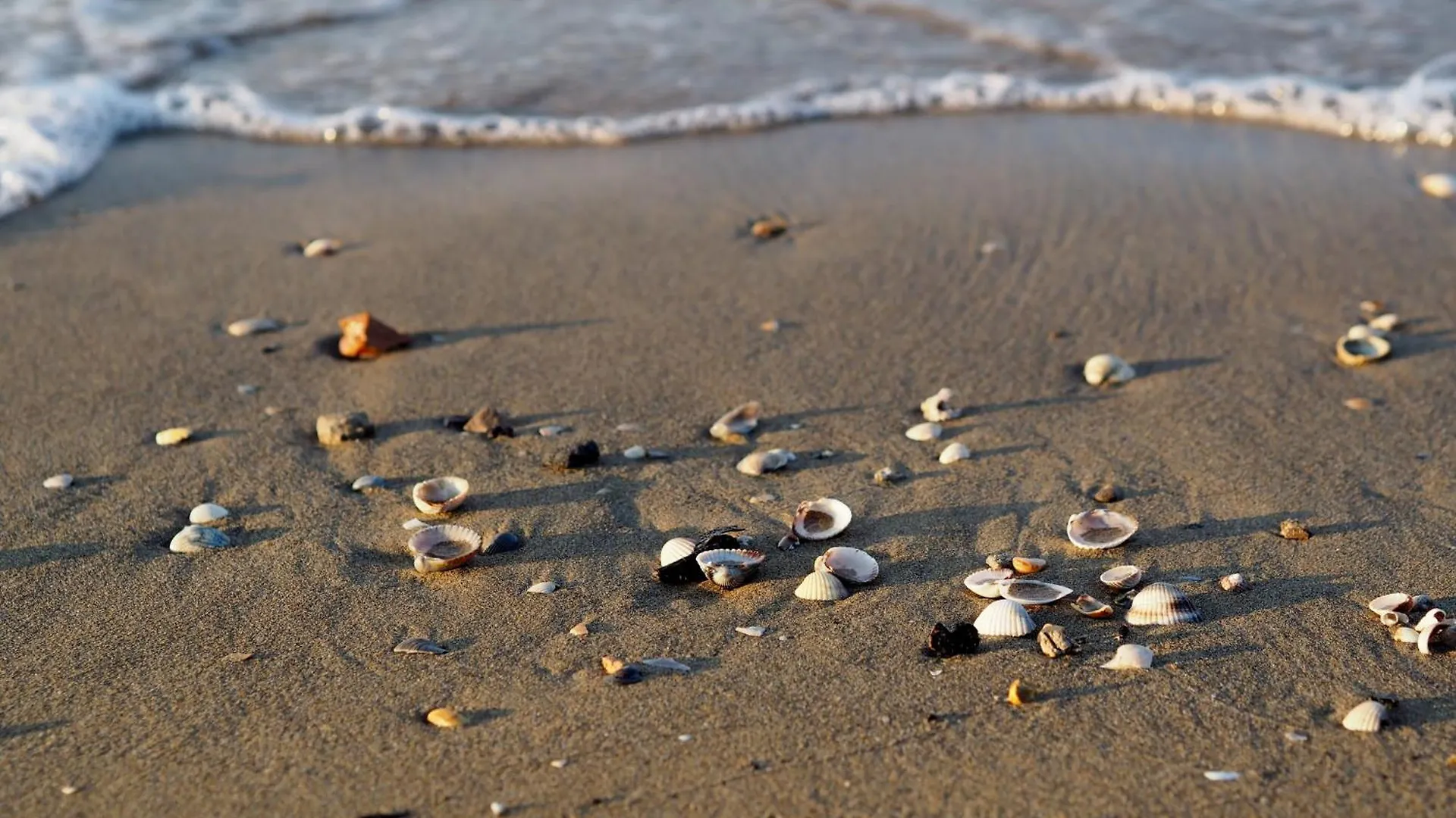 Lovely And Serene Flat Near Pluto Beach Bibione Apartment